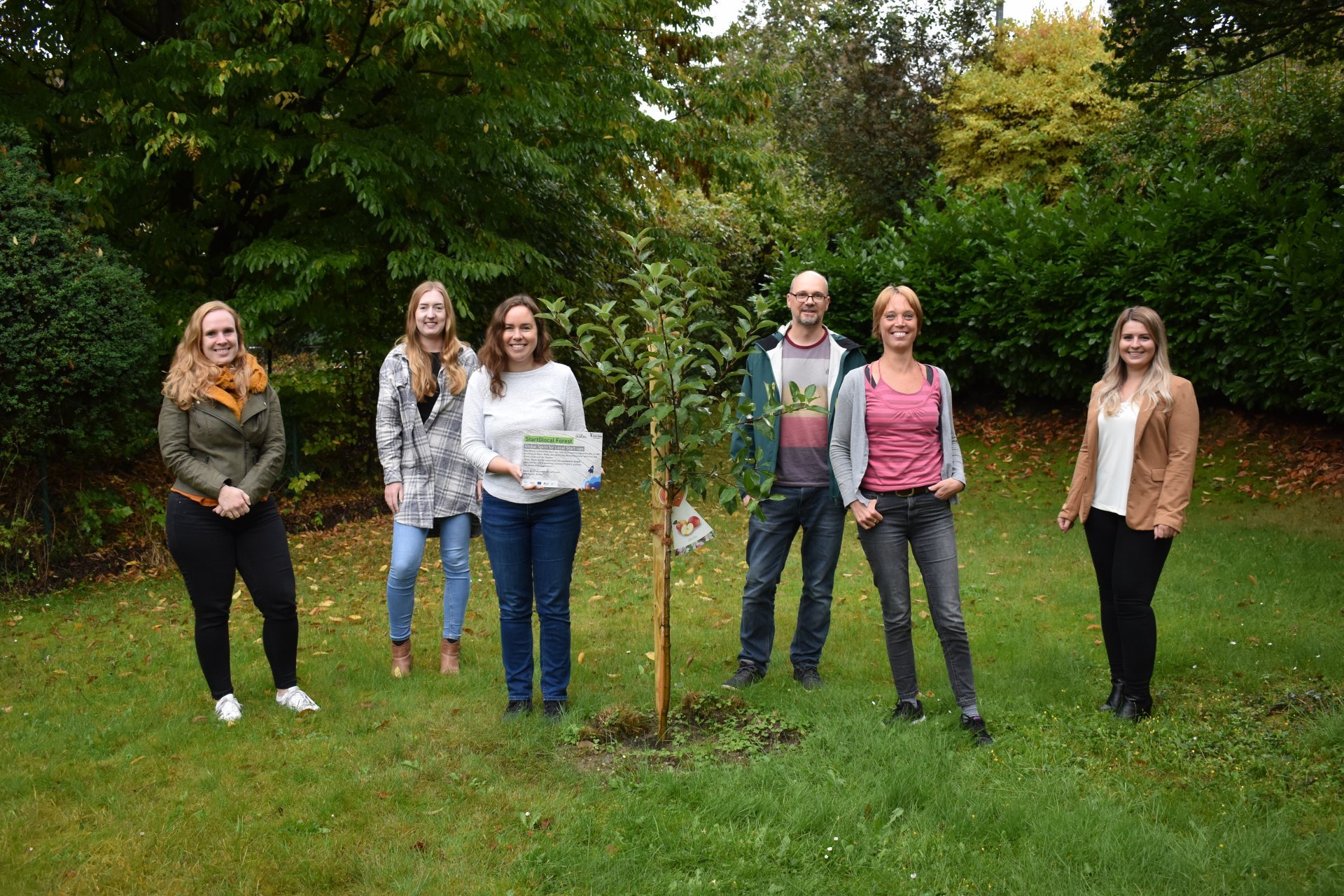 Mediamixx mit Apfelbaum
