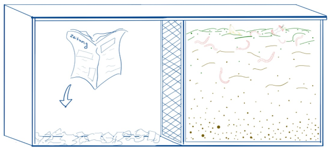 Step 1: Prepare the second chamber using old newspaper