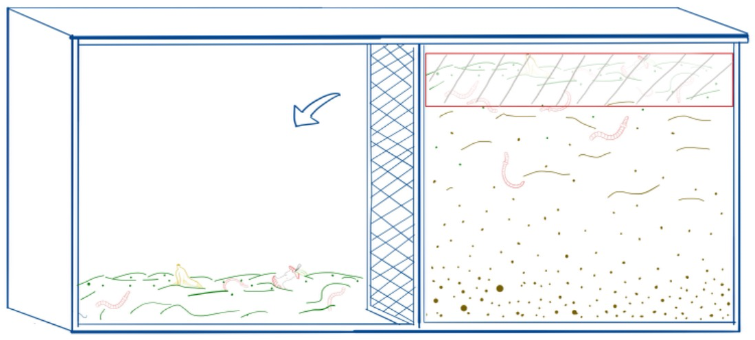 Step 2: Move the top most layer to the second chamber